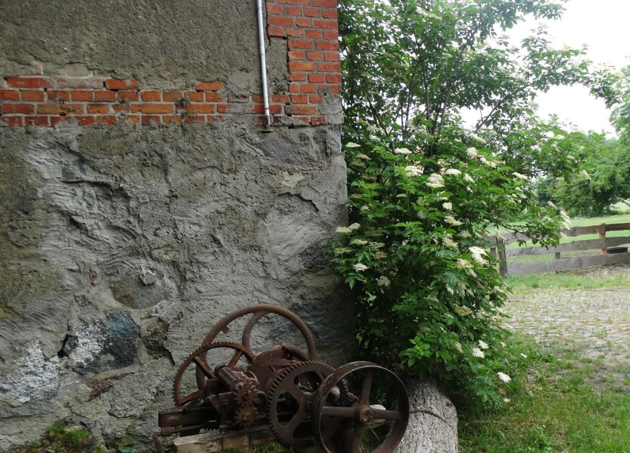 Dom Na Mazurach Pilec住宿加早餐旅馆 外观 照片
