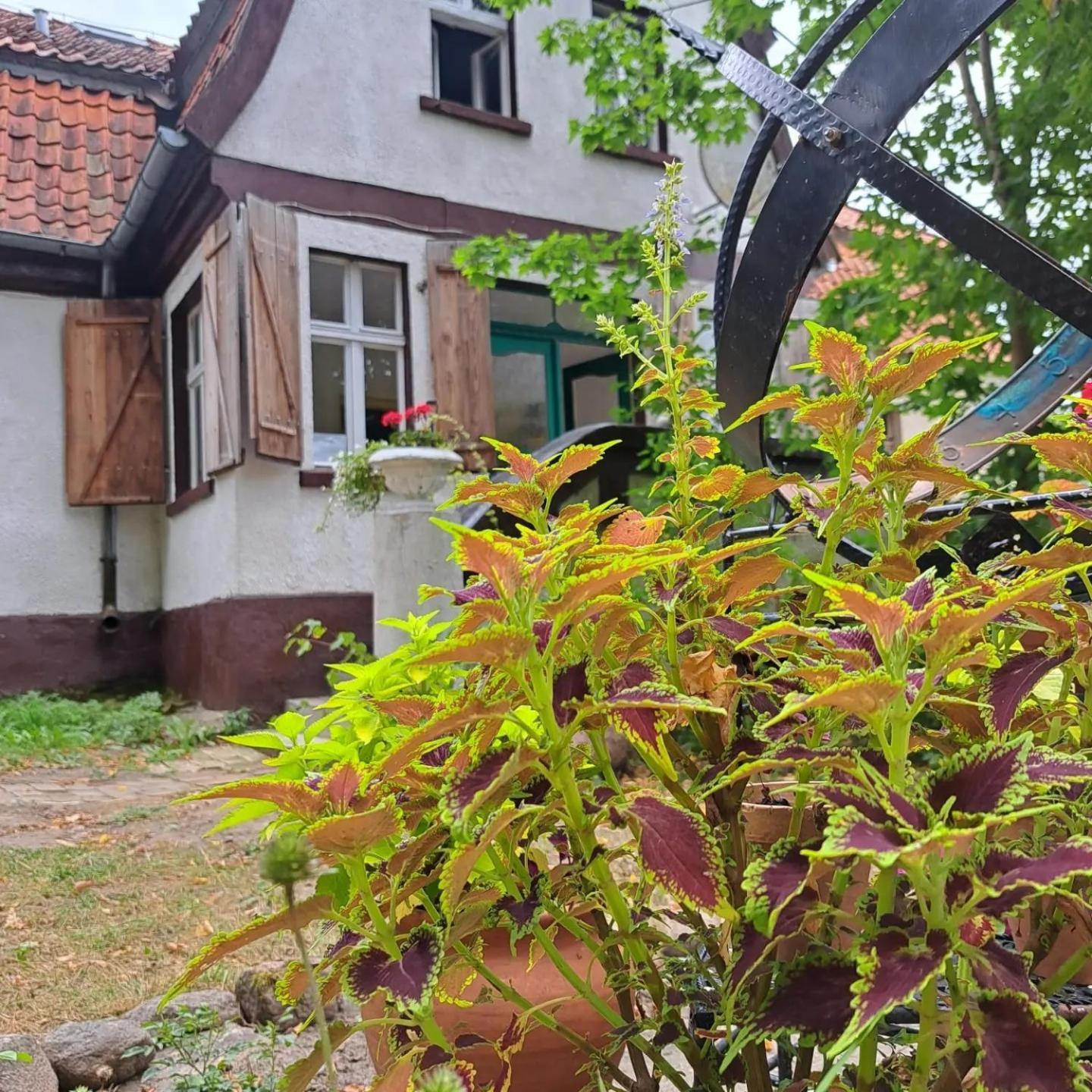 Dom Na Mazurach Pilec住宿加早餐旅馆 外观 照片