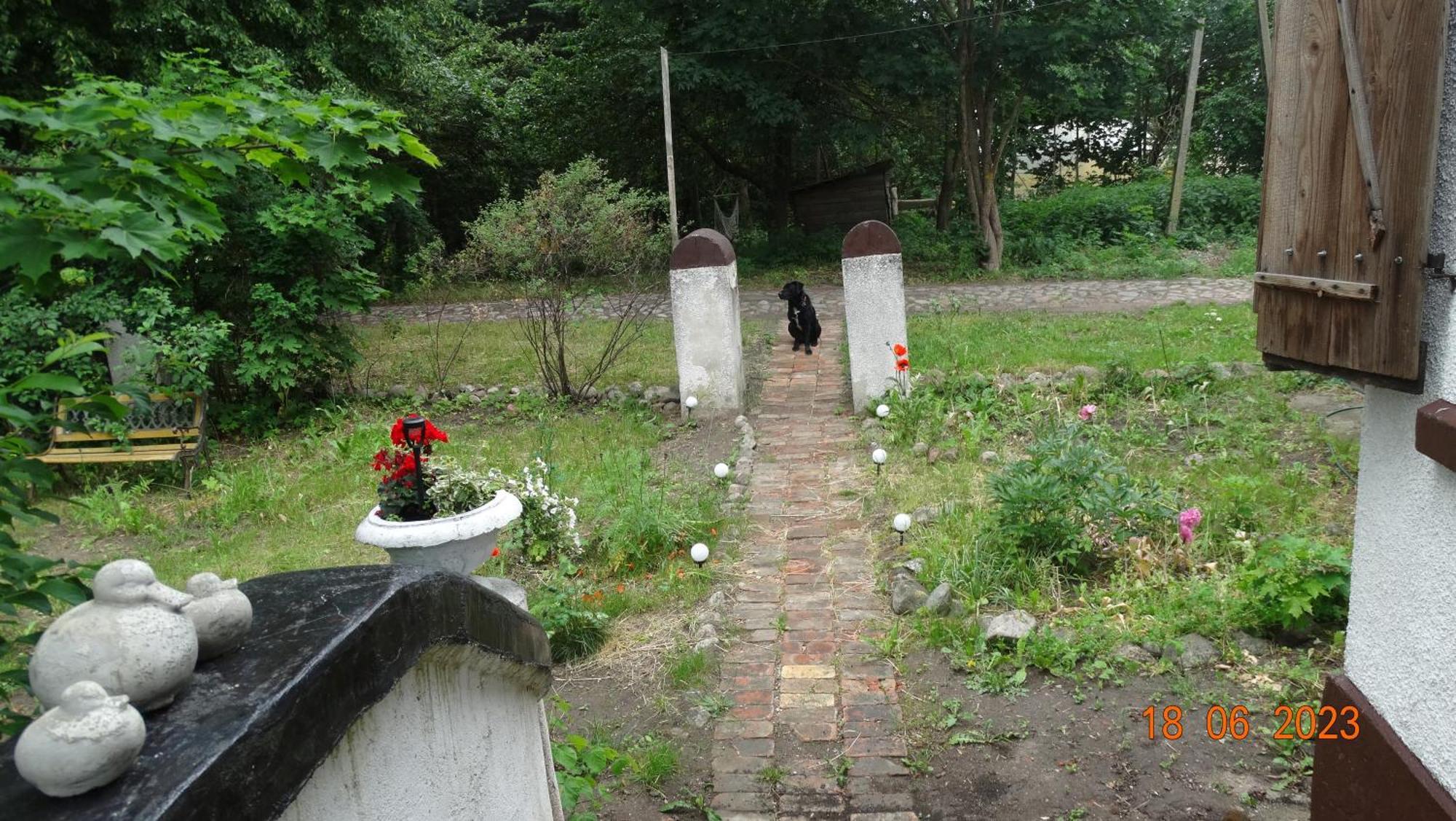 Dom Na Mazurach Pilec住宿加早餐旅馆 外观 照片