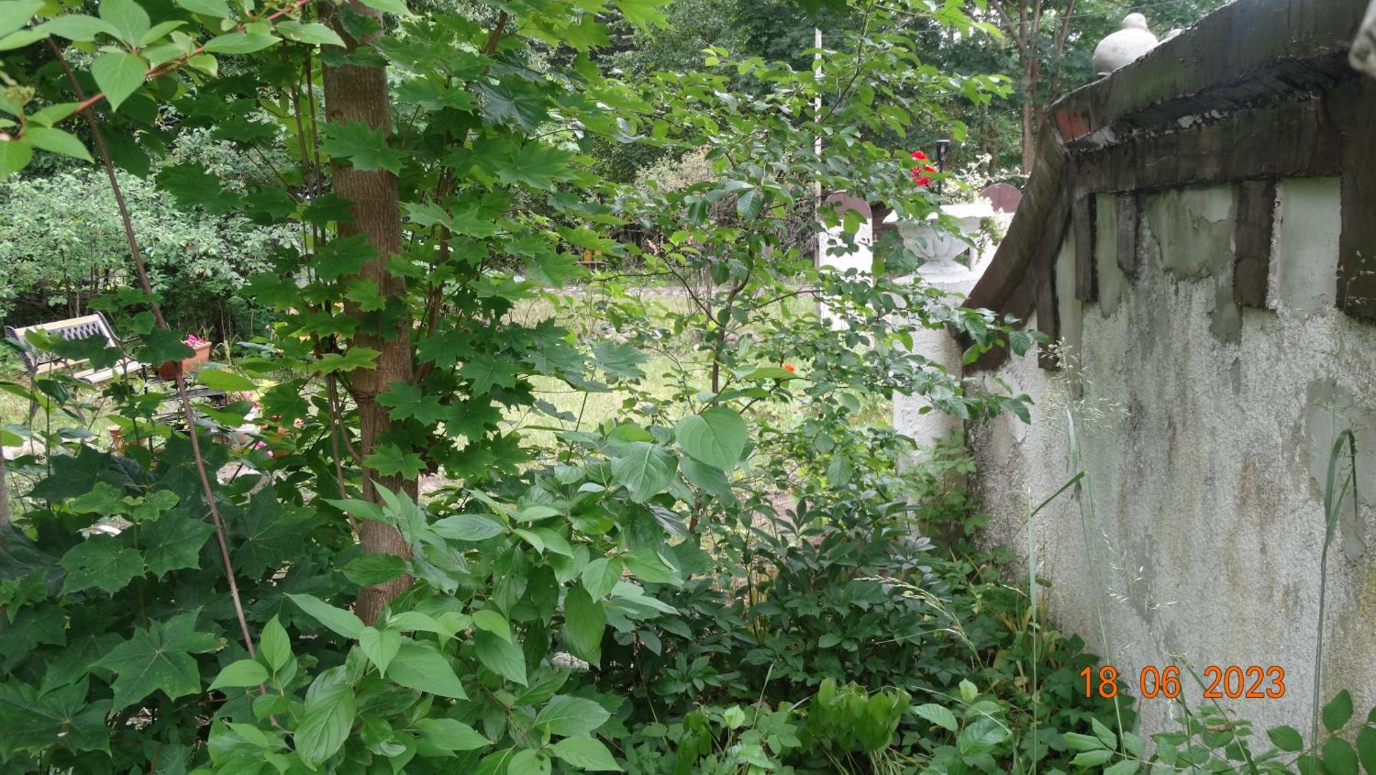 Dom Na Mazurach Pilec住宿加早餐旅馆 外观 照片