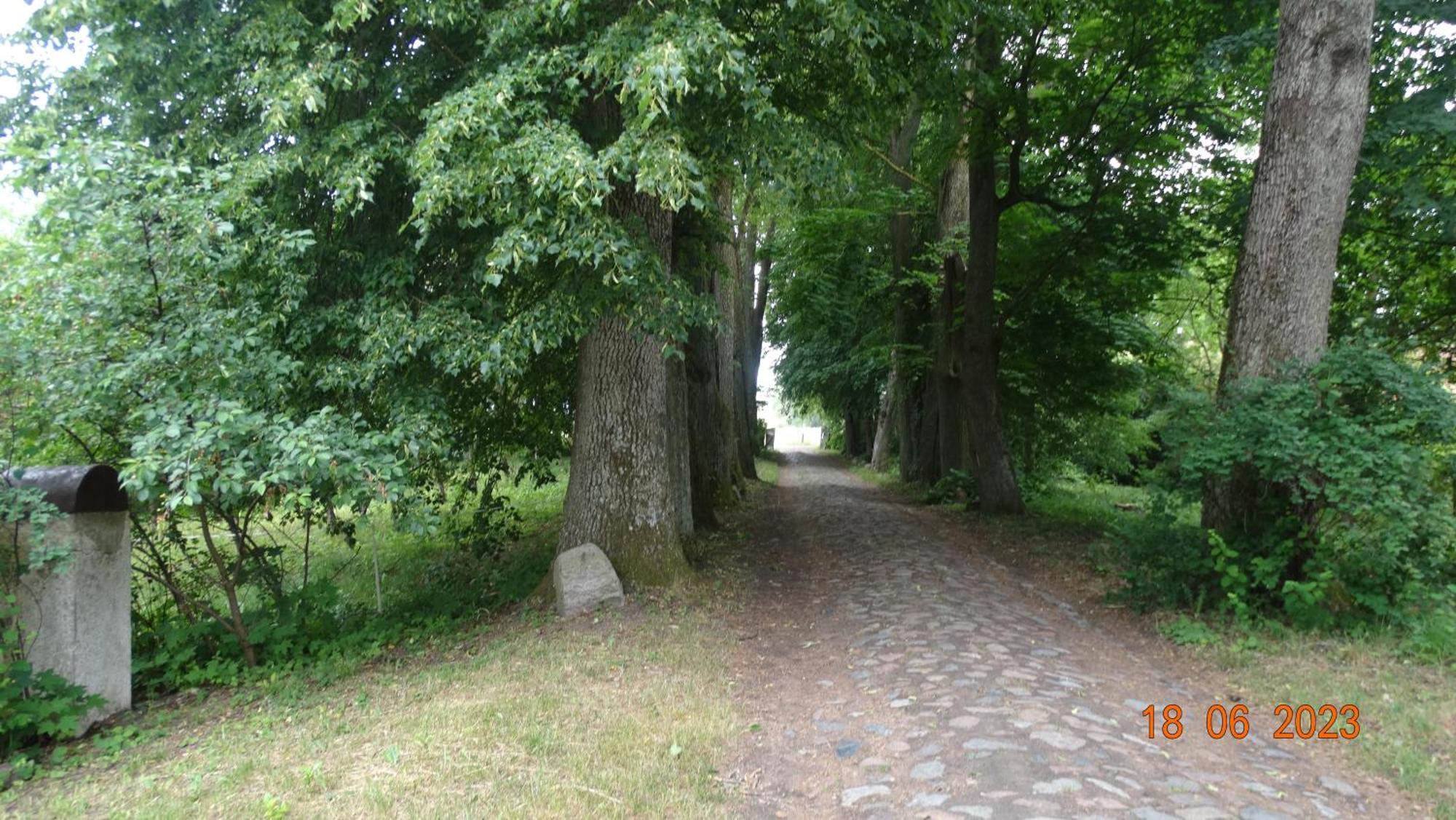 Dom Na Mazurach Pilec住宿加早餐旅馆 外观 照片