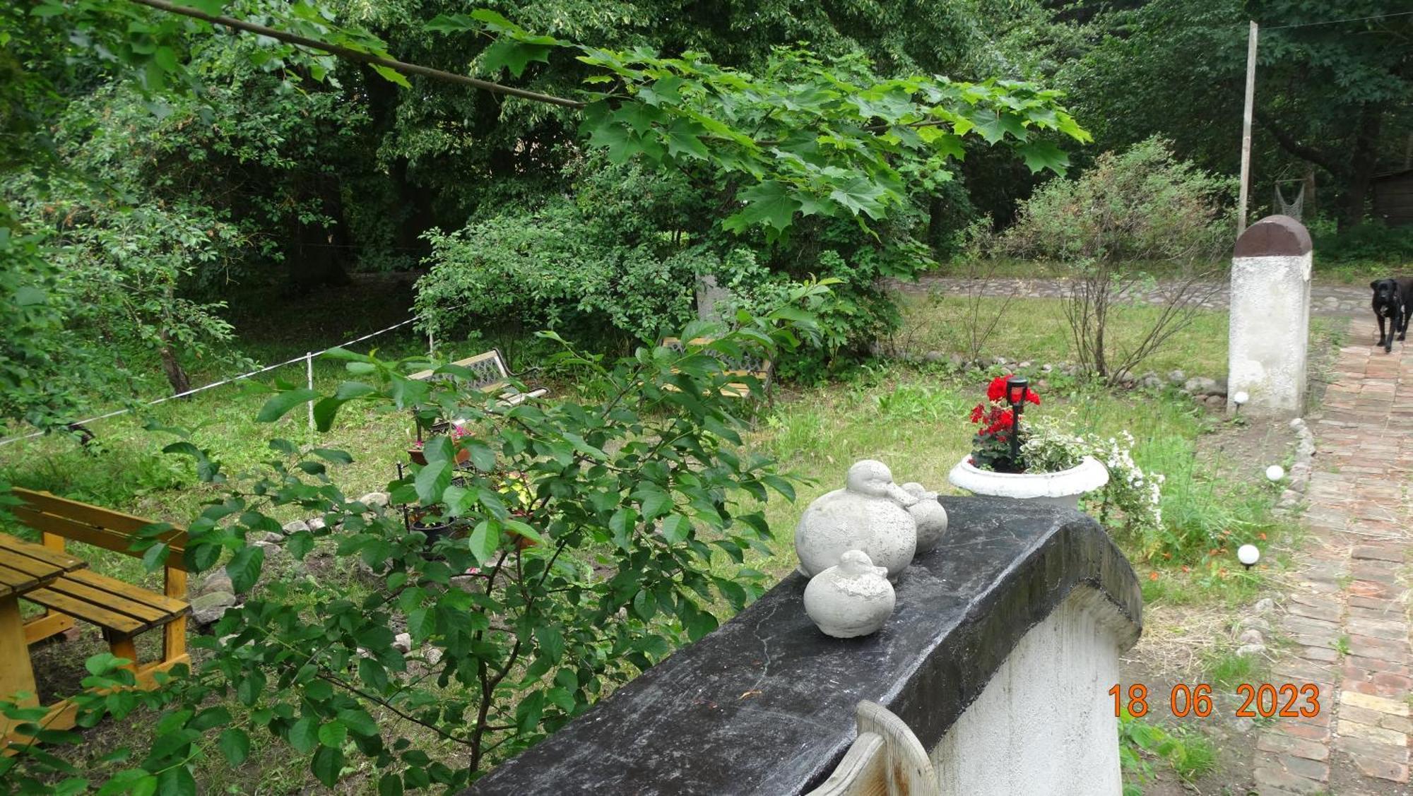 Dom Na Mazurach Pilec住宿加早餐旅馆 外观 照片